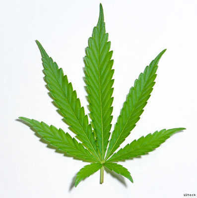 istock-marijuana_20101015092445_640_480.JPG