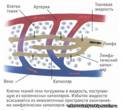 Скриншот 17-03-2016 184925.png